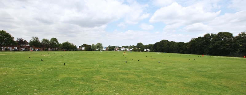 The school playing fields