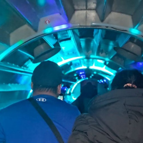 Photo of back of students heads going into the planetarium